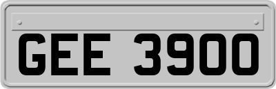 GEE3900