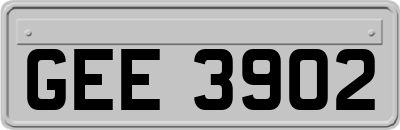 GEE3902