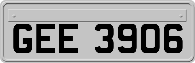 GEE3906