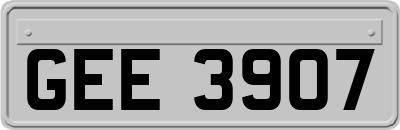 GEE3907