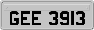 GEE3913