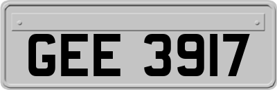 GEE3917