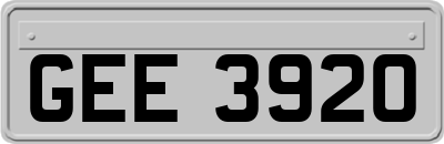 GEE3920