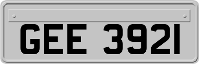 GEE3921