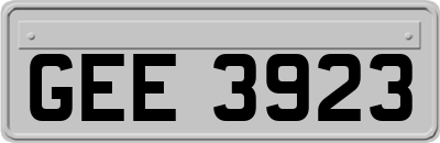GEE3923