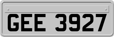 GEE3927