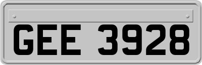 GEE3928