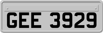 GEE3929