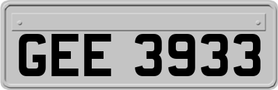 GEE3933