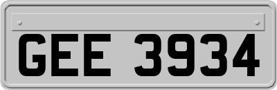 GEE3934