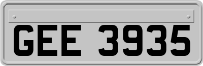 GEE3935
