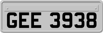 GEE3938