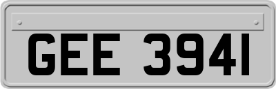 GEE3941