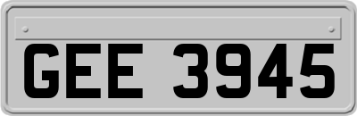 GEE3945
