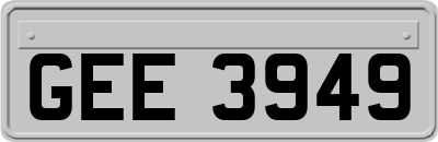 GEE3949