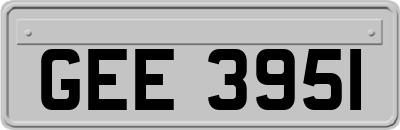 GEE3951