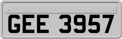 GEE3957