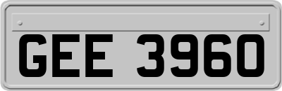 GEE3960