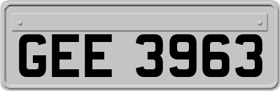 GEE3963