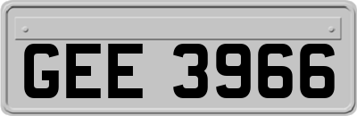 GEE3966