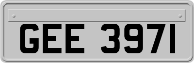 GEE3971