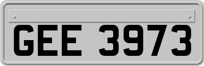 GEE3973