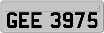 GEE3975