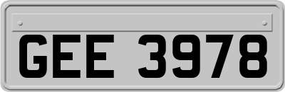 GEE3978