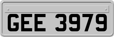GEE3979