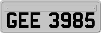 GEE3985