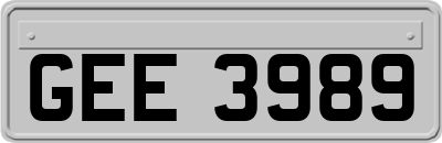 GEE3989