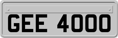 GEE4000