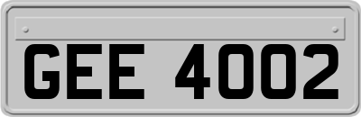 GEE4002