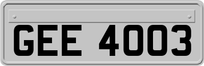 GEE4003