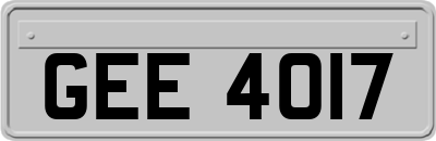 GEE4017