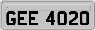 GEE4020