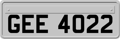 GEE4022