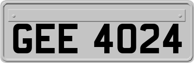 GEE4024