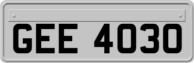 GEE4030