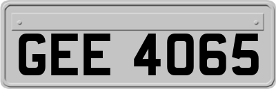 GEE4065