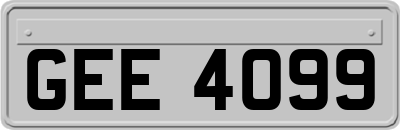 GEE4099