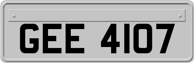GEE4107