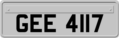 GEE4117