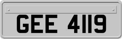 GEE4119