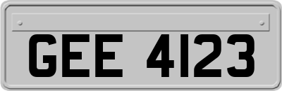 GEE4123