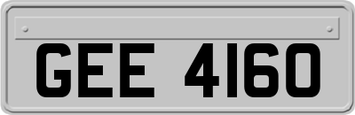 GEE4160