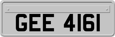 GEE4161