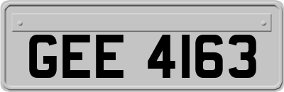 GEE4163