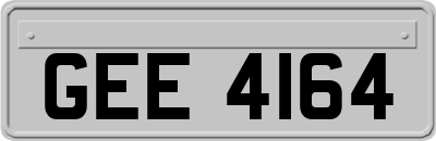 GEE4164