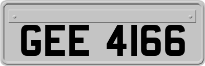 GEE4166